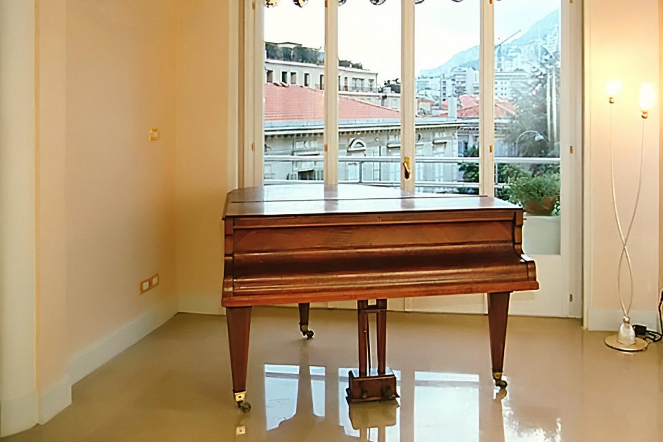 residenze private - progetto arredo di un appartamento a montecarlo, interni